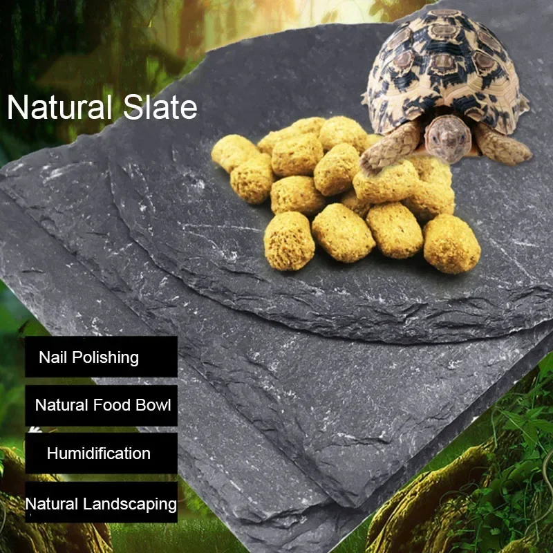 Aquarium Fish Feeder - Natural Slate Aquarium Pet Reptile Feeder