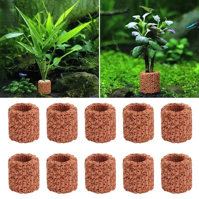 Aquarium Fish Tank Price - Aquatic Plant Fixed Ring for Aquarium