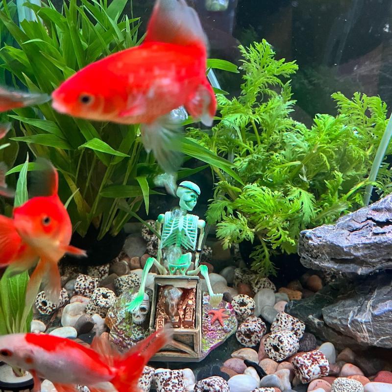 Aquarium Fish Tank Price - Fish Tank Aerobic Landscape Bubble Air