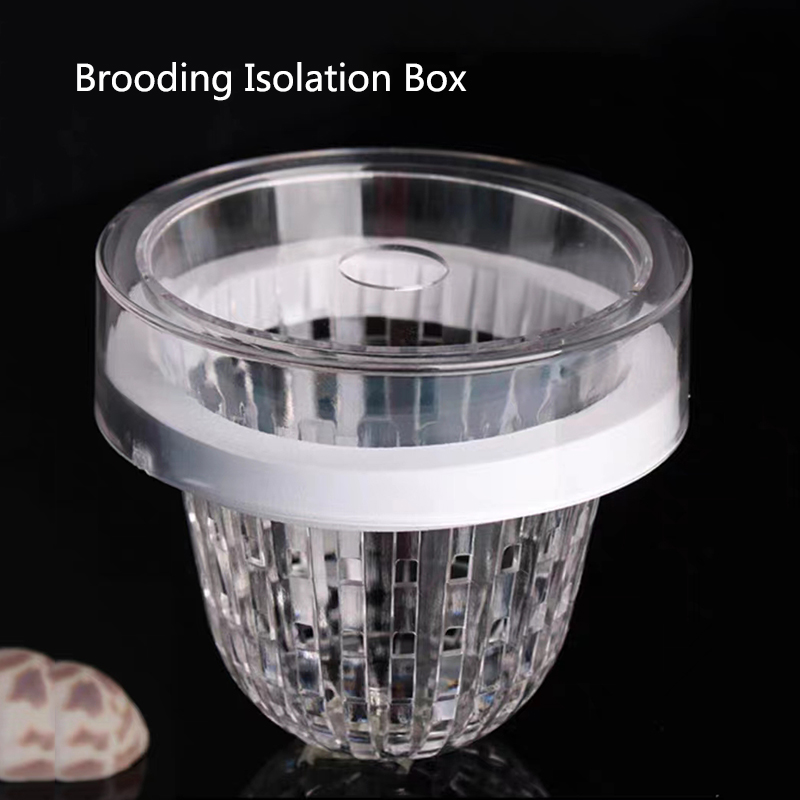 Aquarium Fish Feeder - Acrylic Floating Fish Breeding Isolation Box