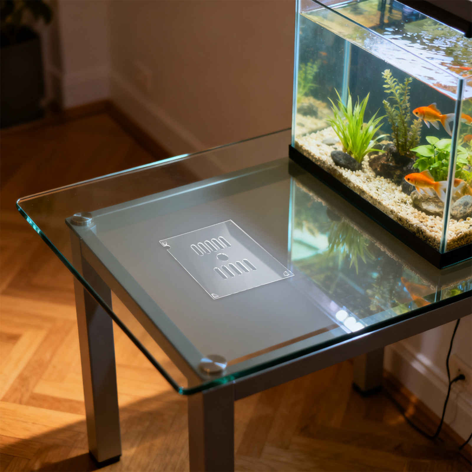 Aquarium Fish Jumping - Heavy Duty Clear Acrylic Fish Tank