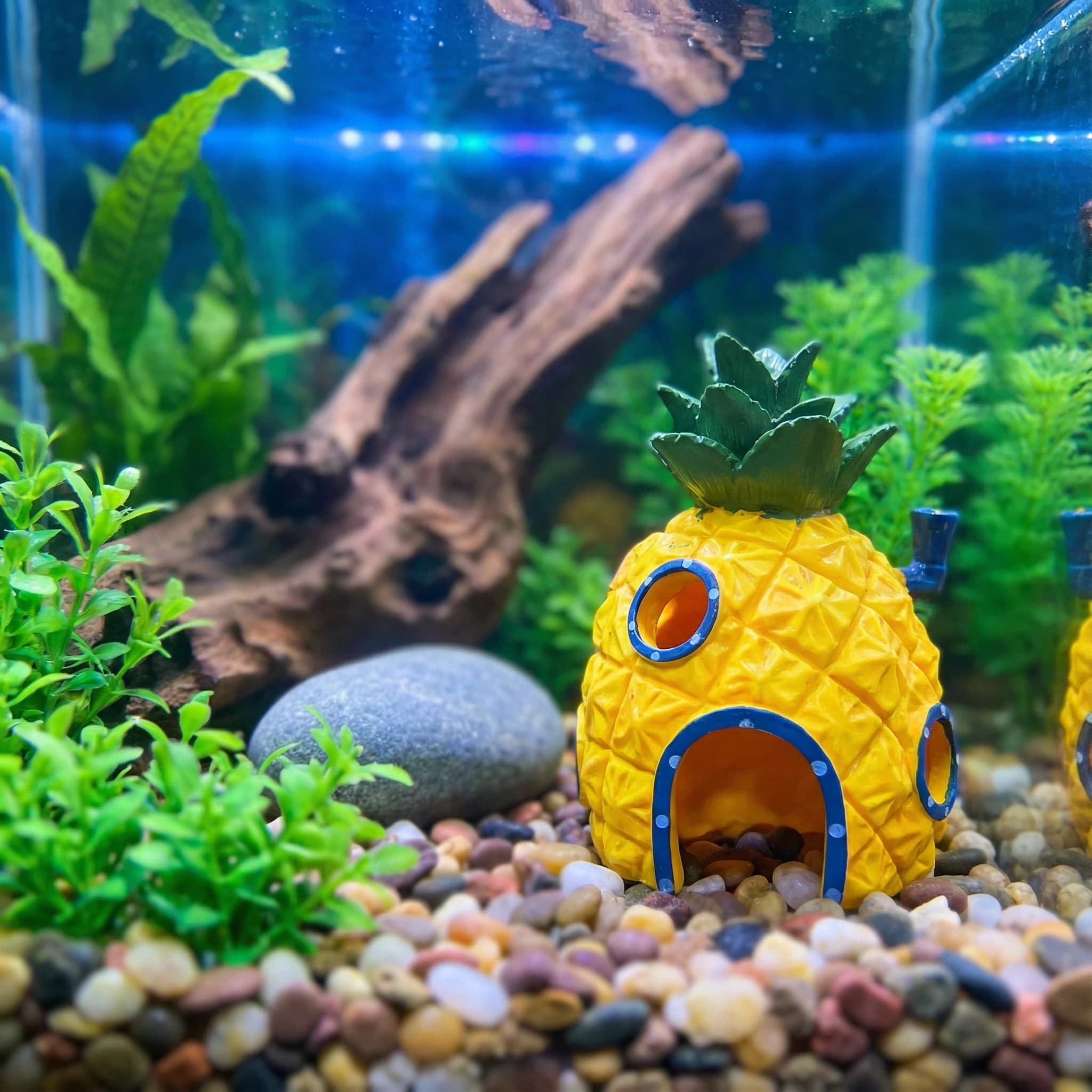 Aquarium Fish Games - Pineapple House Aquarium Decor， Eco-Friendly Resin