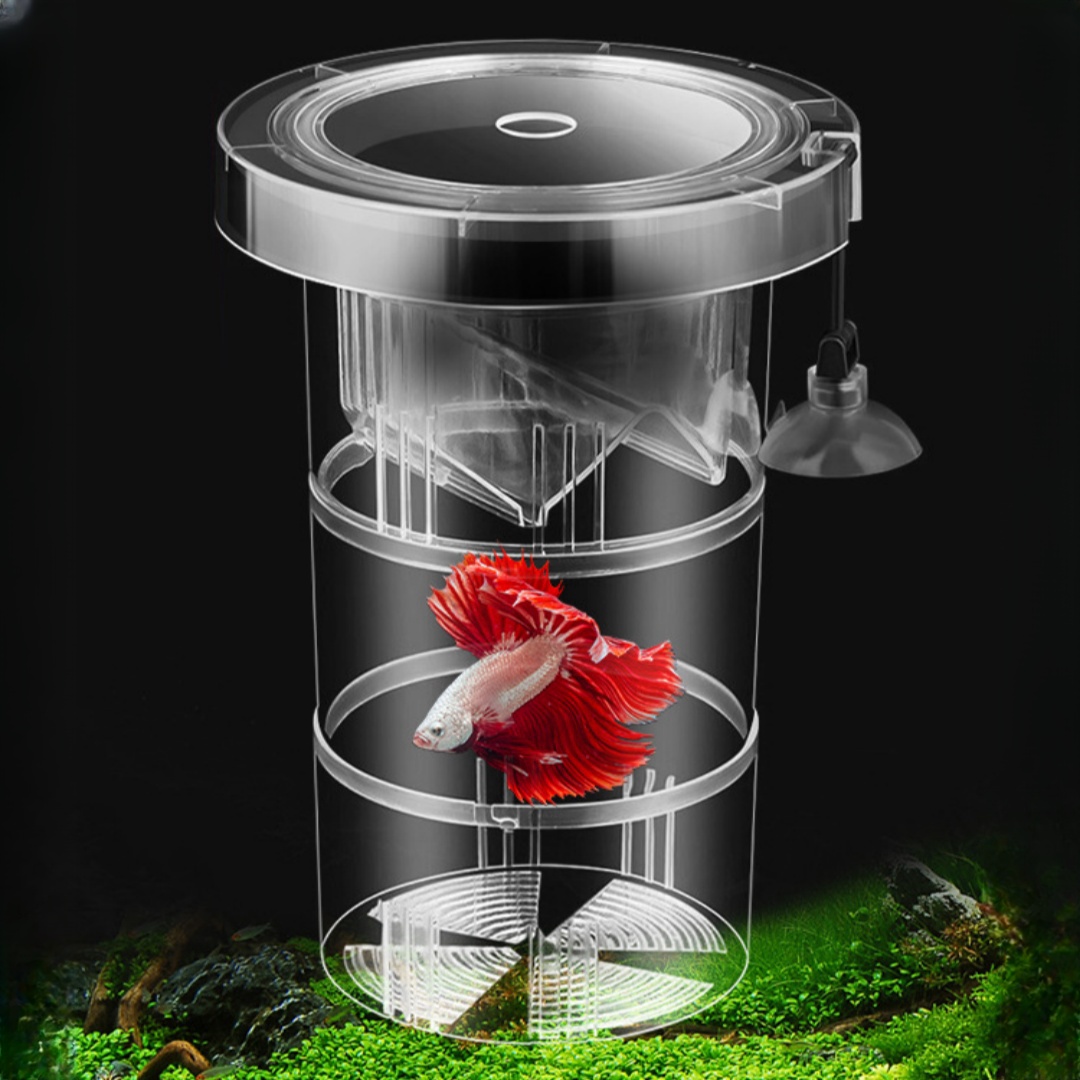 Aquarium Fish Feeder - Acrylic Floating Fish Breeding Isolation Box