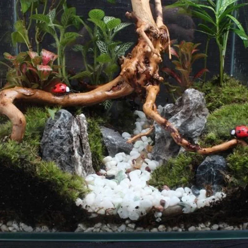 Natural Tree Trunk Driftwood A - Aquarium Fish Tank Price review and price