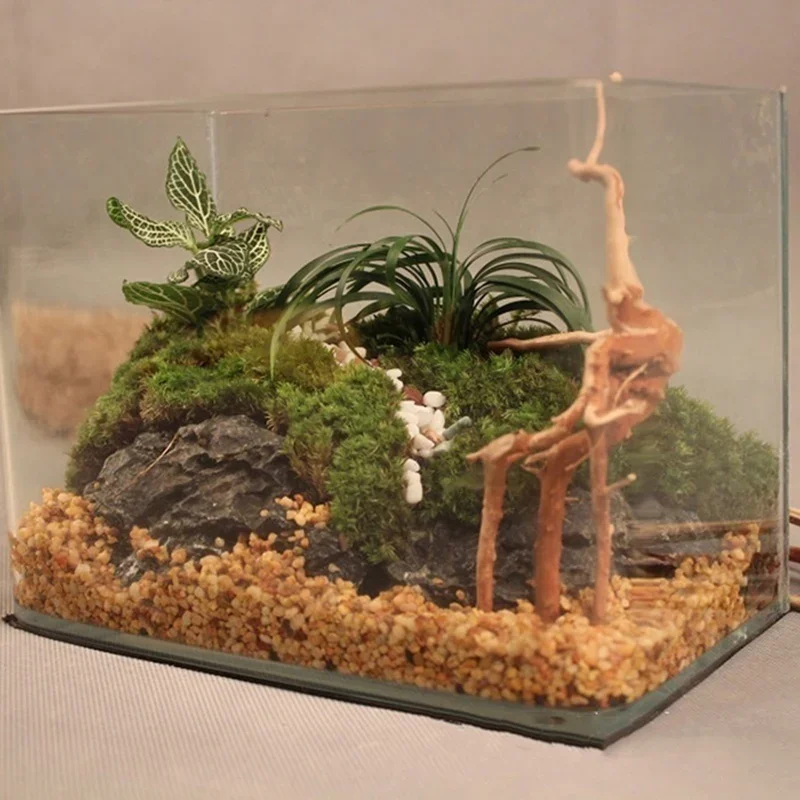 Natural Tree Trunk Driftwood A - Aquarium Fish Tank Price review and price