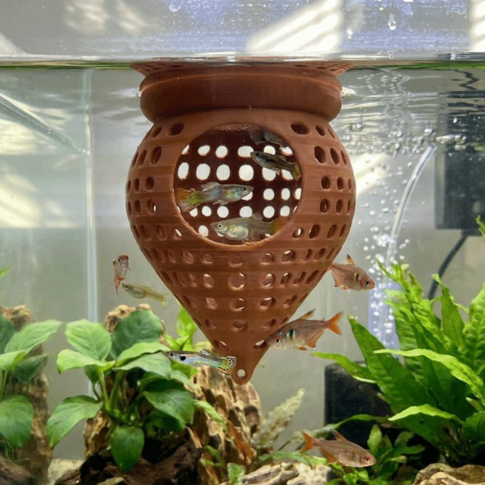 3D Printed Floating Fish Hammo - Aquarium Fish Cave review and price