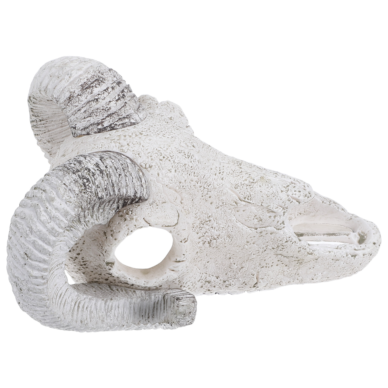 Realistic Bull Skull Hideout A - Aquarium Fish Cave review and price