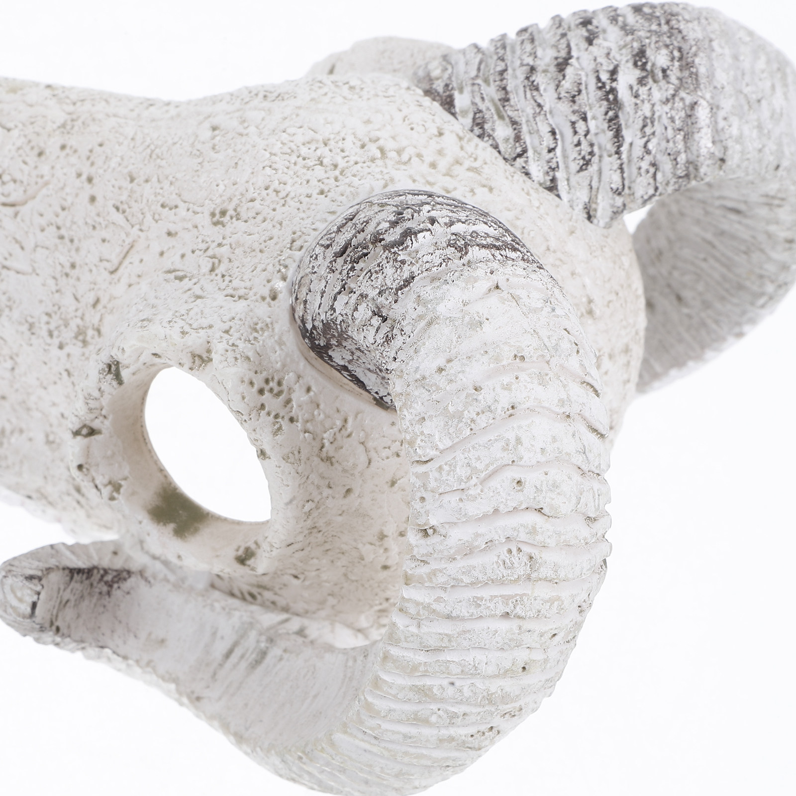 Realistic Bull Skull Hideout A - Aquarium Fish Cave review and price