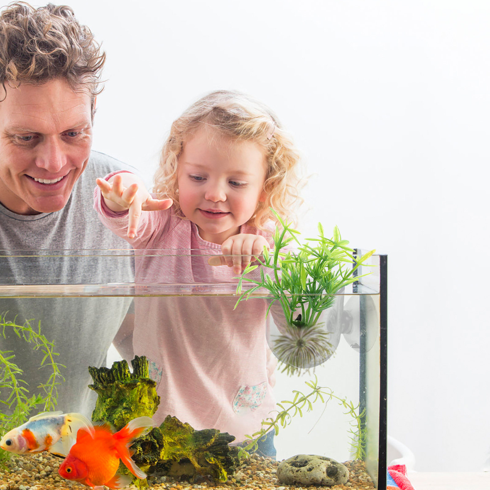 4Pcs Fish Tank Acrylic Plant H - Aquarium Fish Feeder review and price