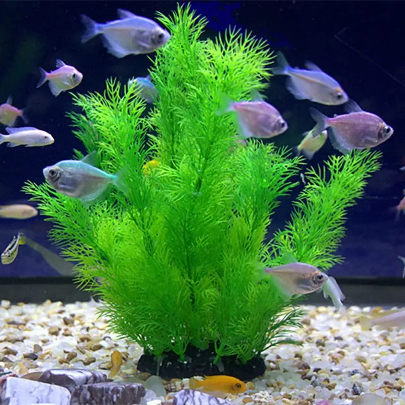 Artificial Aquarium Decor Plan - Aquarium Fish Games review and price
