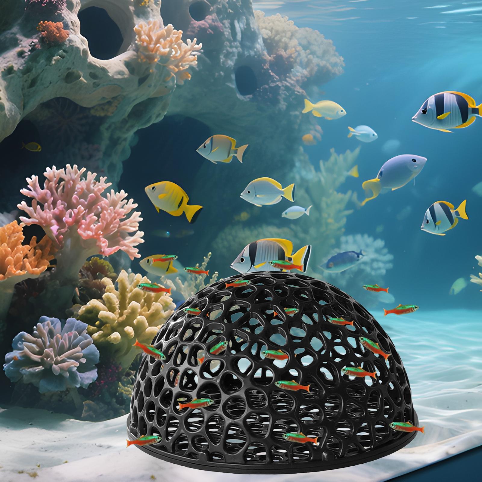 Aquarium Hiden Cave Shelter fo - Aquarium Fish Games review and price
