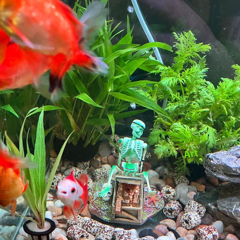 Fish Tank Aerobic Landscape Bu - Aquarium Fish Tank Price review and price