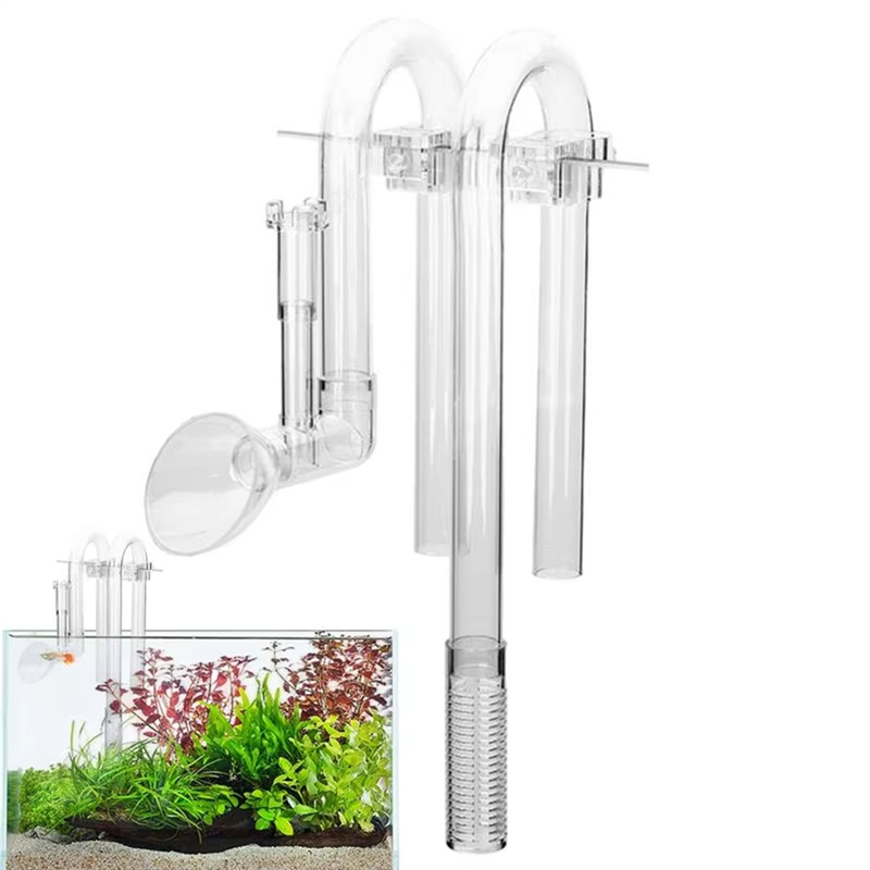 【Fast Delivery】Aquarium Inlet  - Aquarium Fish Delivery review and price