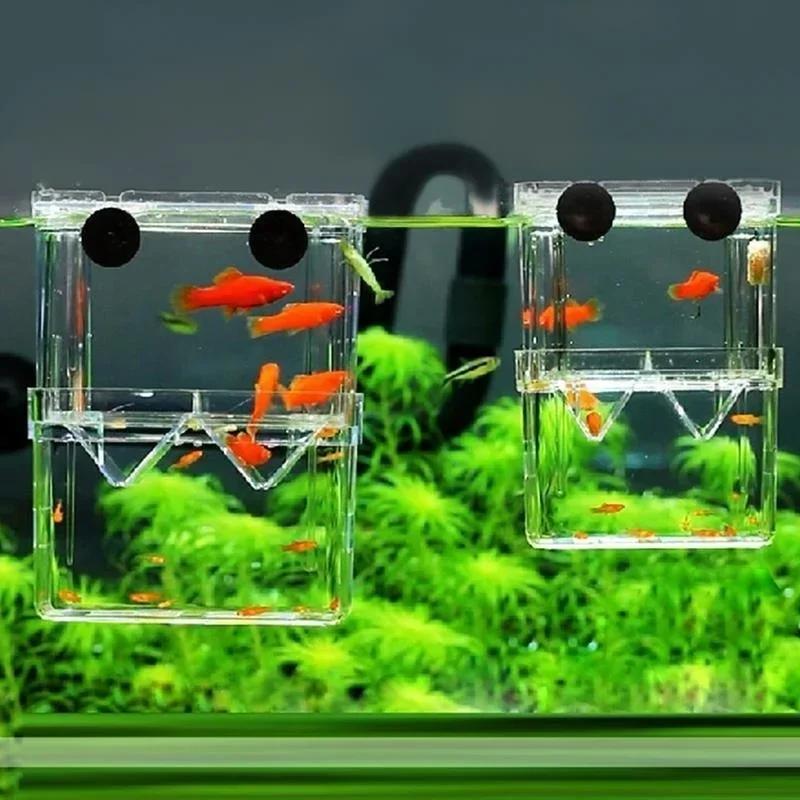 Transparent Fish Aquarium High - Aquarium Fish Cave review and price