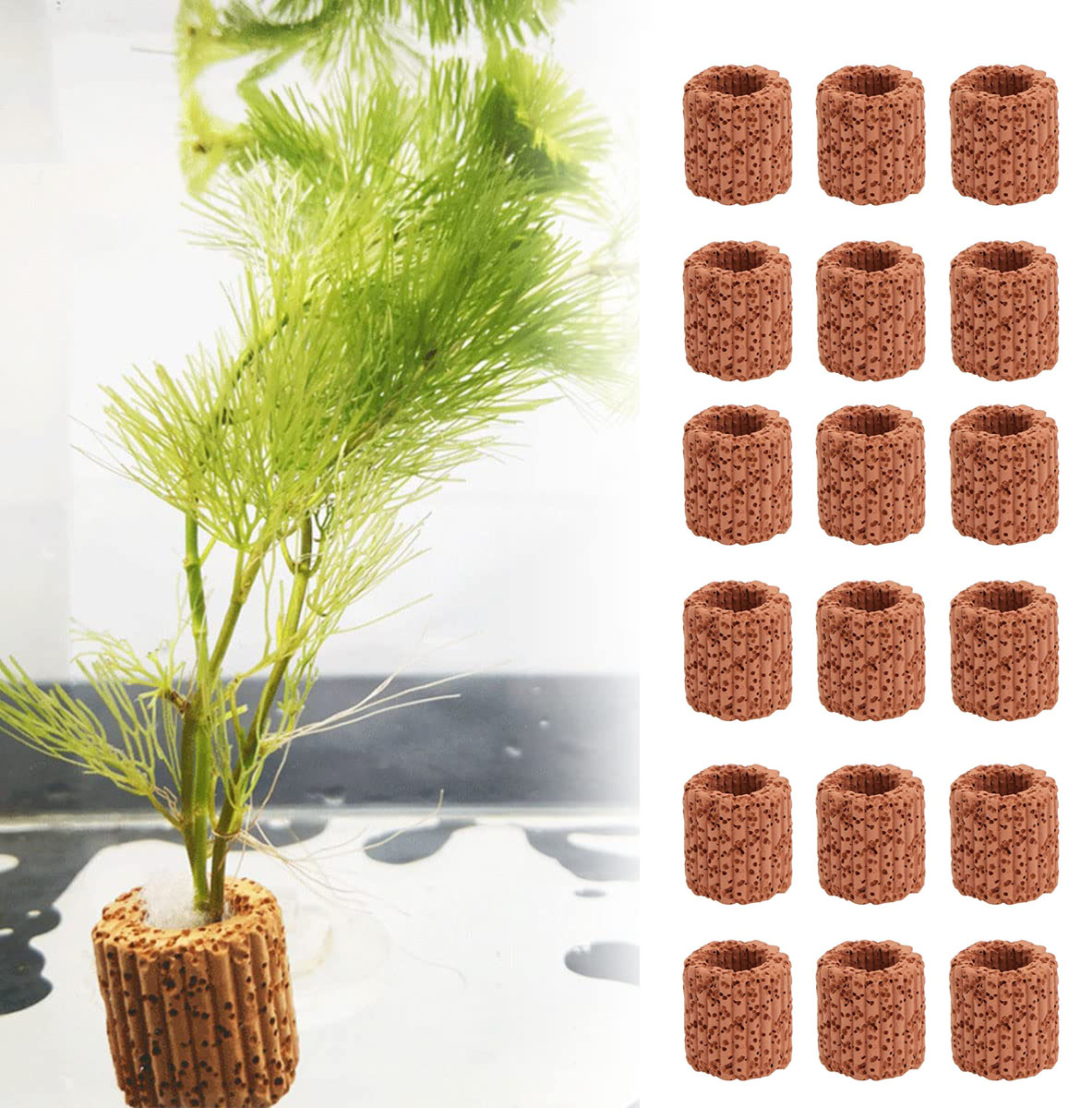 10/20Pcs Aquatic Water Plant F - Aquarium Fish Tank Price review and price