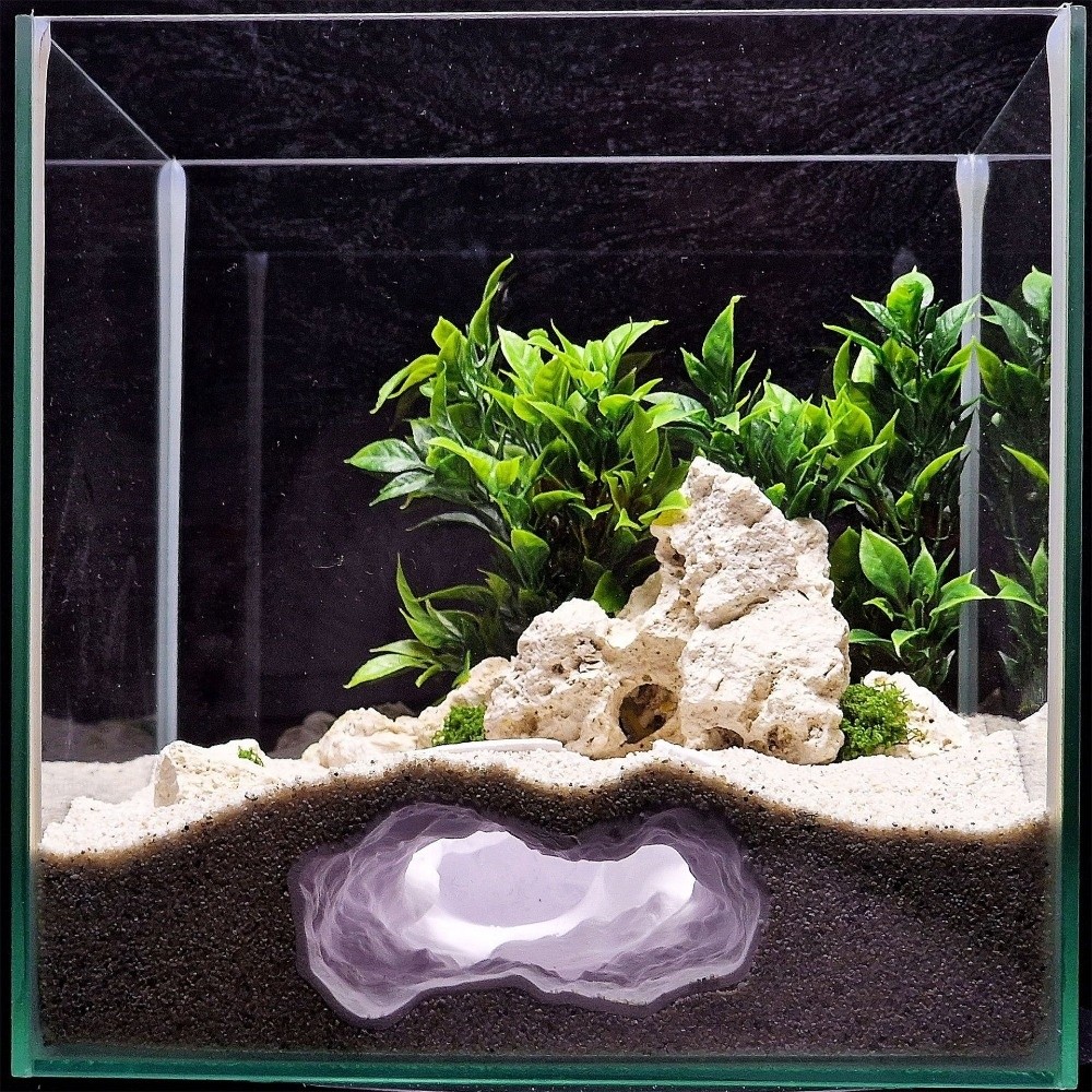Highly Simulated Aquarium Fish - Aquarium Fish Cave review and price