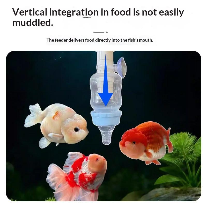 1pcs Precise Fish Pacifier Fee - Aquarium Fish Feeder review and price