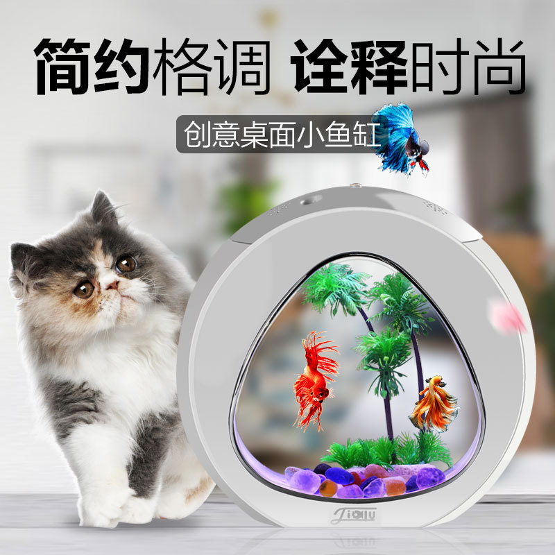 Jialu creative desktop fish ta - Aquarium Fish Delivery review and price