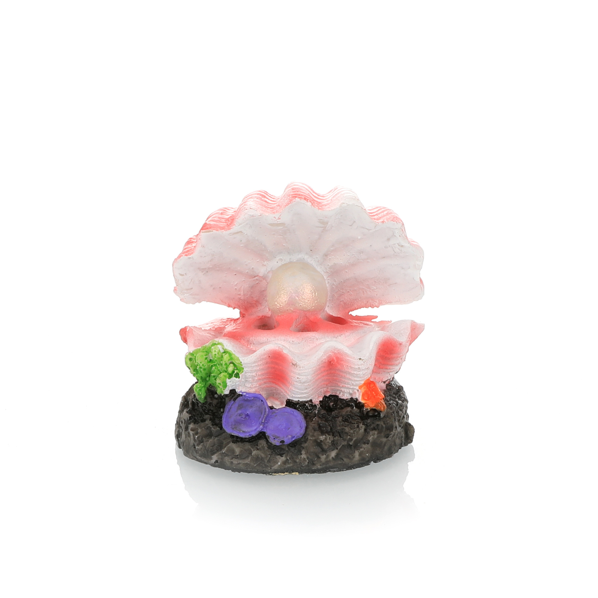 Fish Tank Landscaping Simulati - Aquarium Fish Tank Price review and price