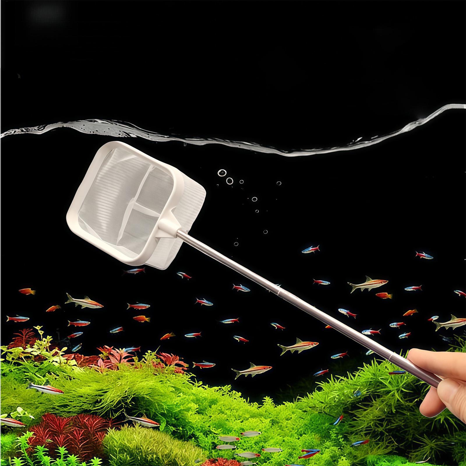 Extendable Long Handle Fine Me - Aquarium Fish Long review and price