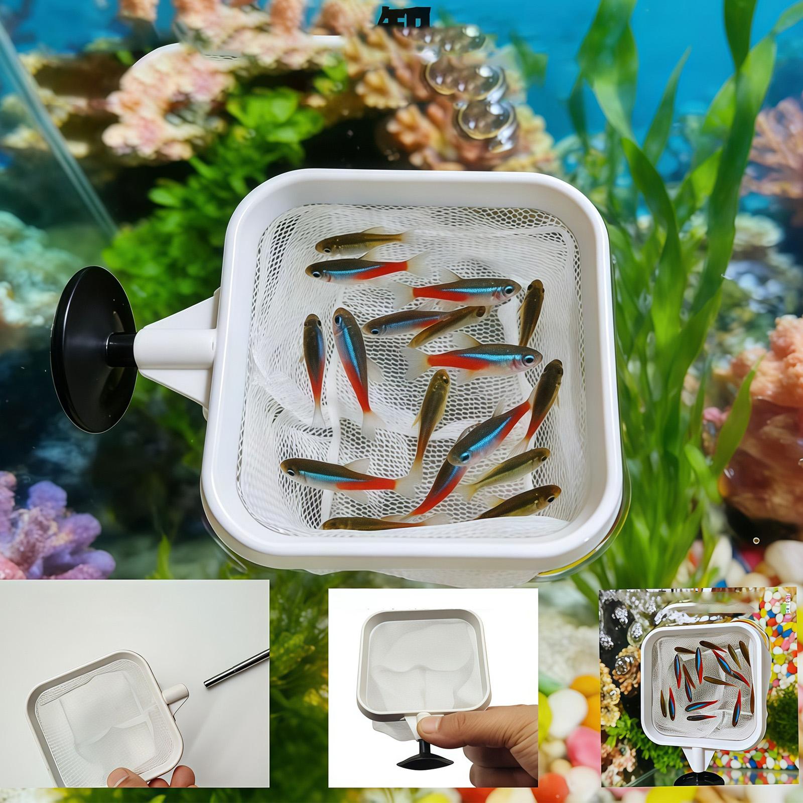 Extendable Long Handle Fine Me - Aquarium Fish Long review and price