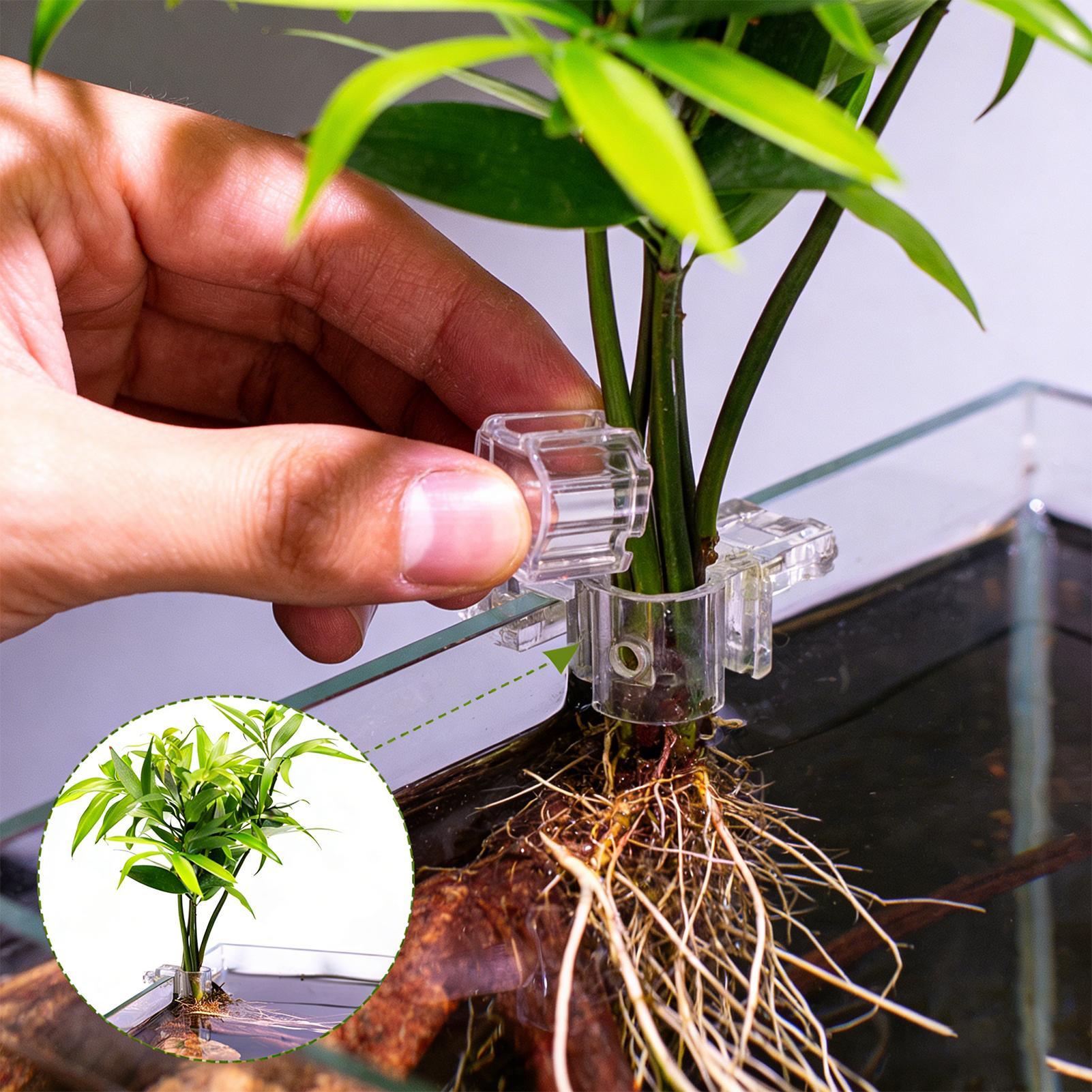 Mini Fish Tank Planter Pot 6Pc - Aquarium Fish Feeder review and price