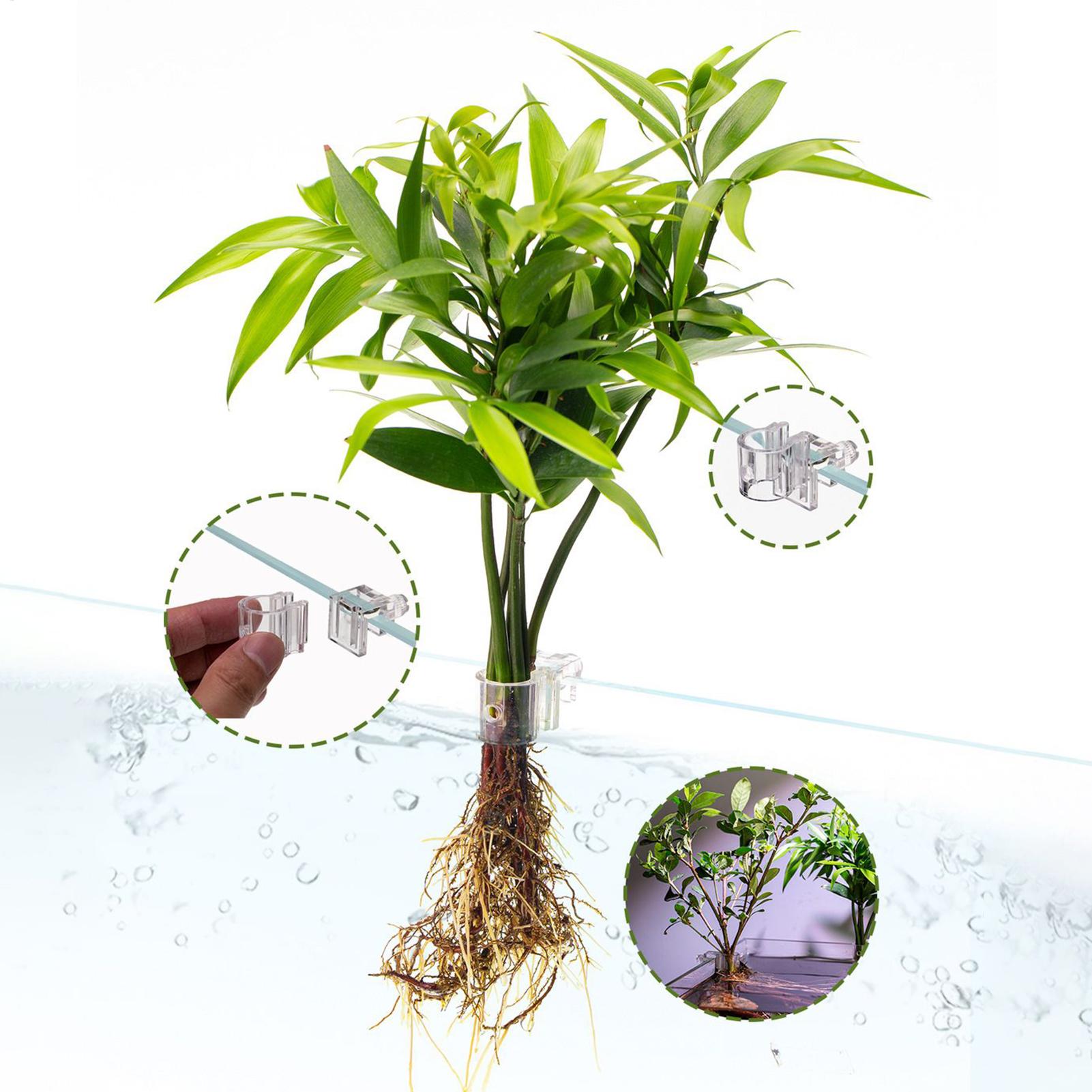 Mini Fish Tank Planter Pot 6Pc - Aquarium Fish Feeder review and price