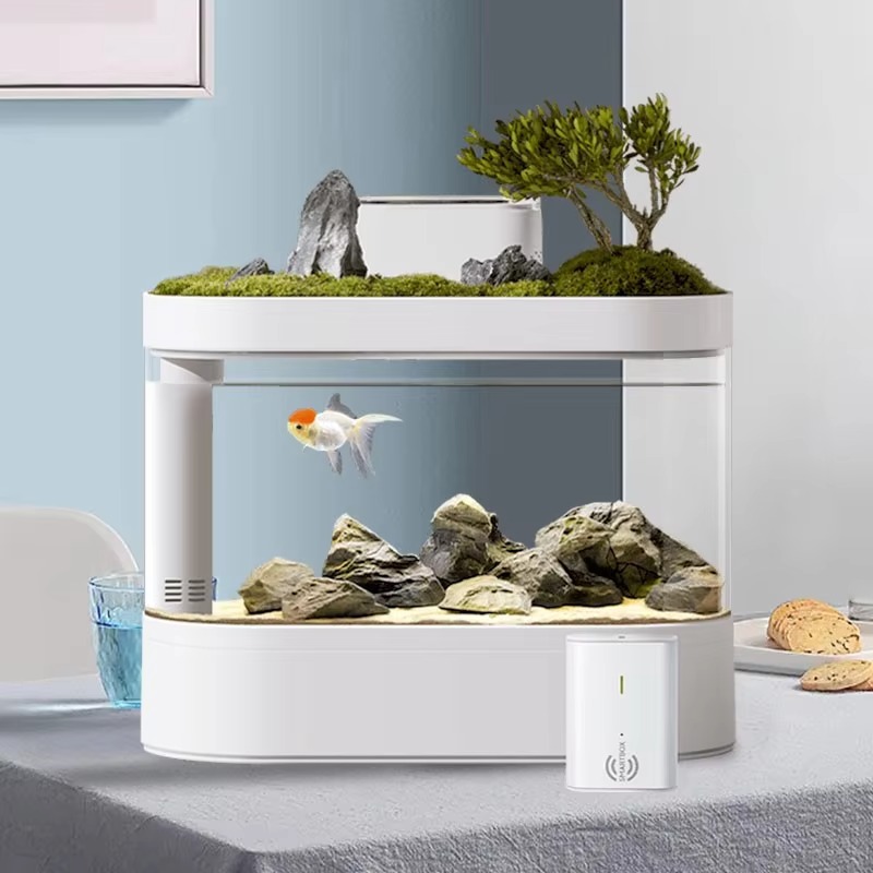 Desktop Smart Aquarium Fish Ta - Aquarium Fish Feeder review and price
