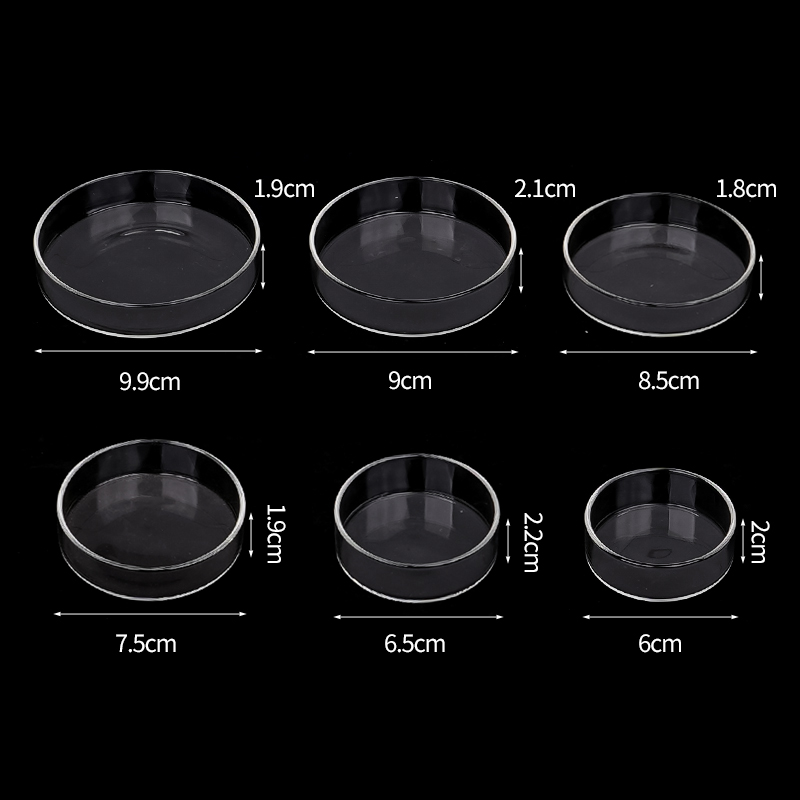 Shrimp Feeding Dish High Trans - Aquarium Fish Feeder review and price