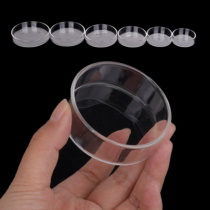 Shrimp Feeding Dish High Trans - Aquarium Fish Feeder review and price