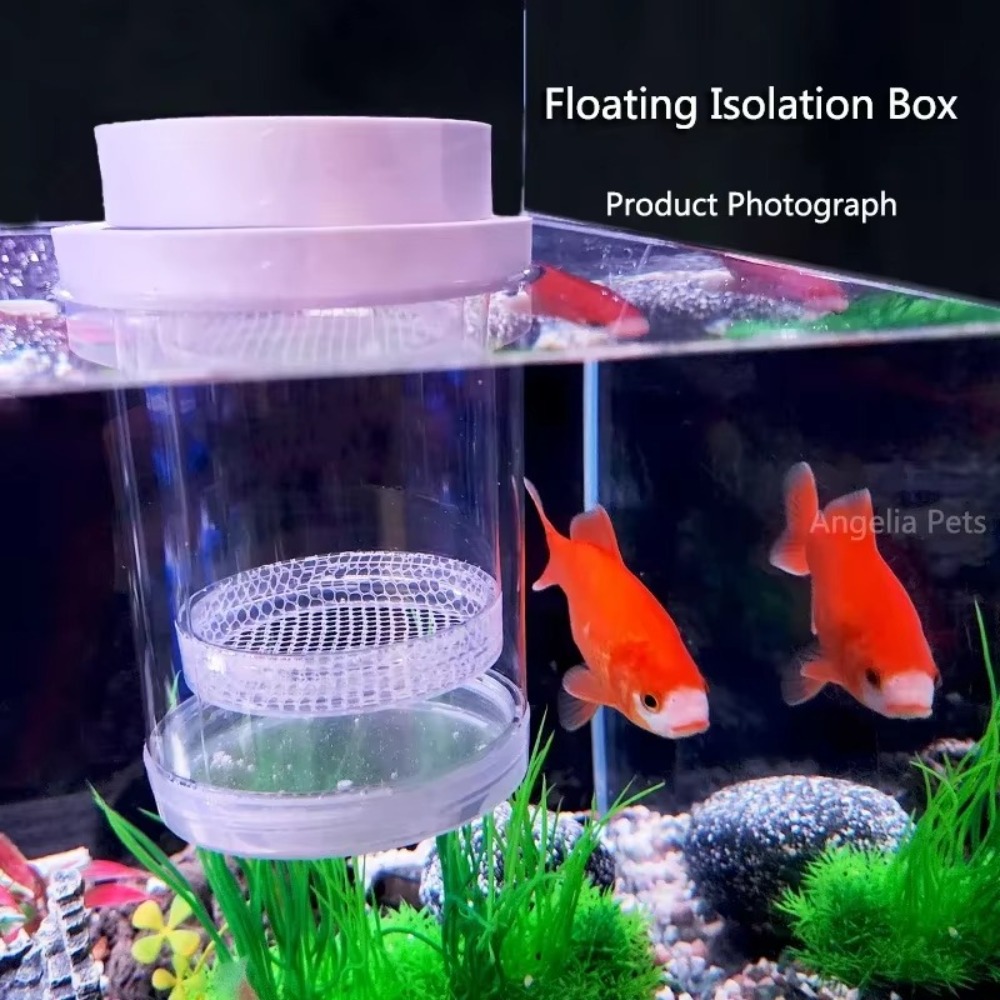 Plastic Floating Fish Breeding - Aquarium Fish Feeder review and price