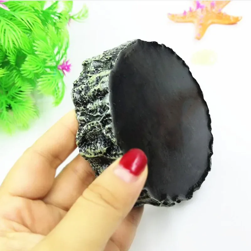 Pet Reptile Feeder Bowl Resin  - Aquarium Fish Feeder review and price