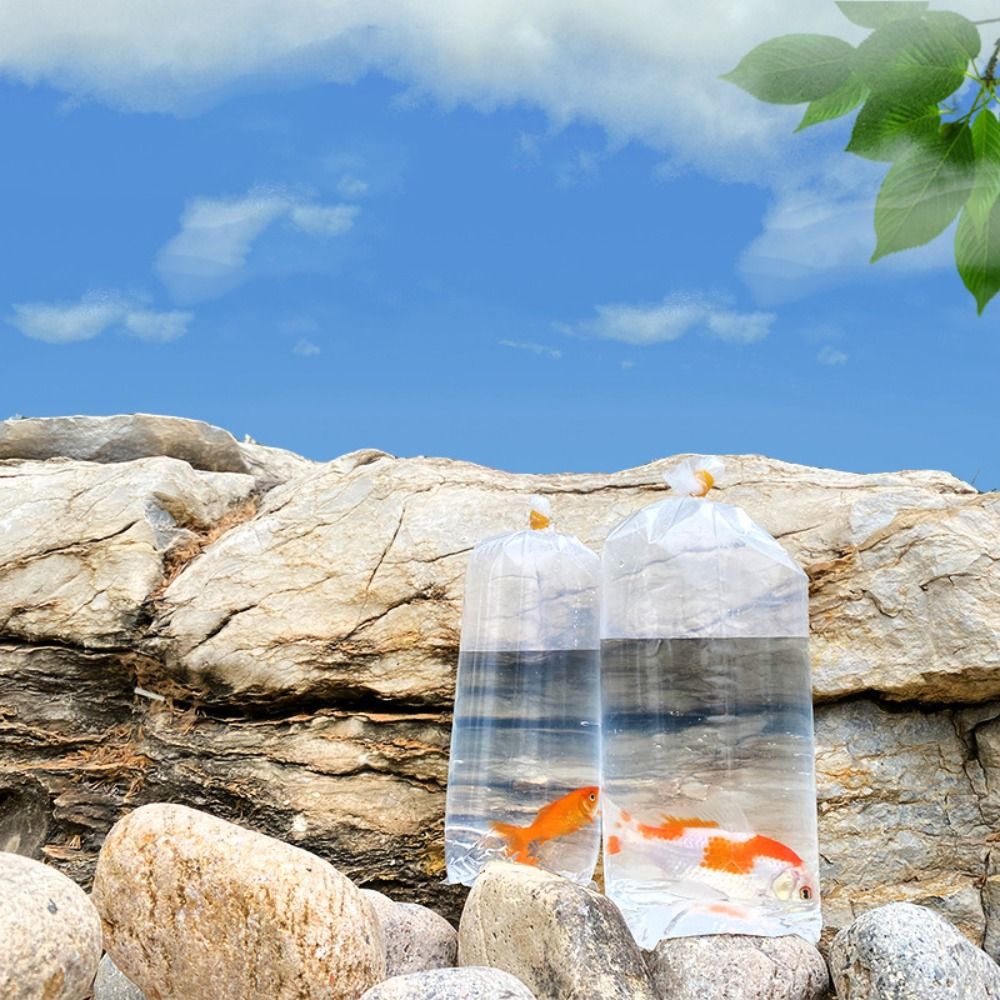 10PCS Plastic Aquarium Breathi - Aquarium Fish Delivery review and price