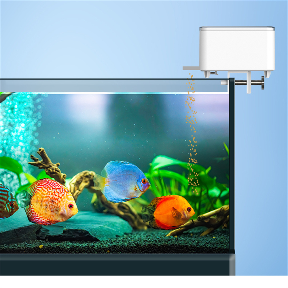 WiFi Smart Automatic Feeder Aq - Aquarium Fish Feeder review and price