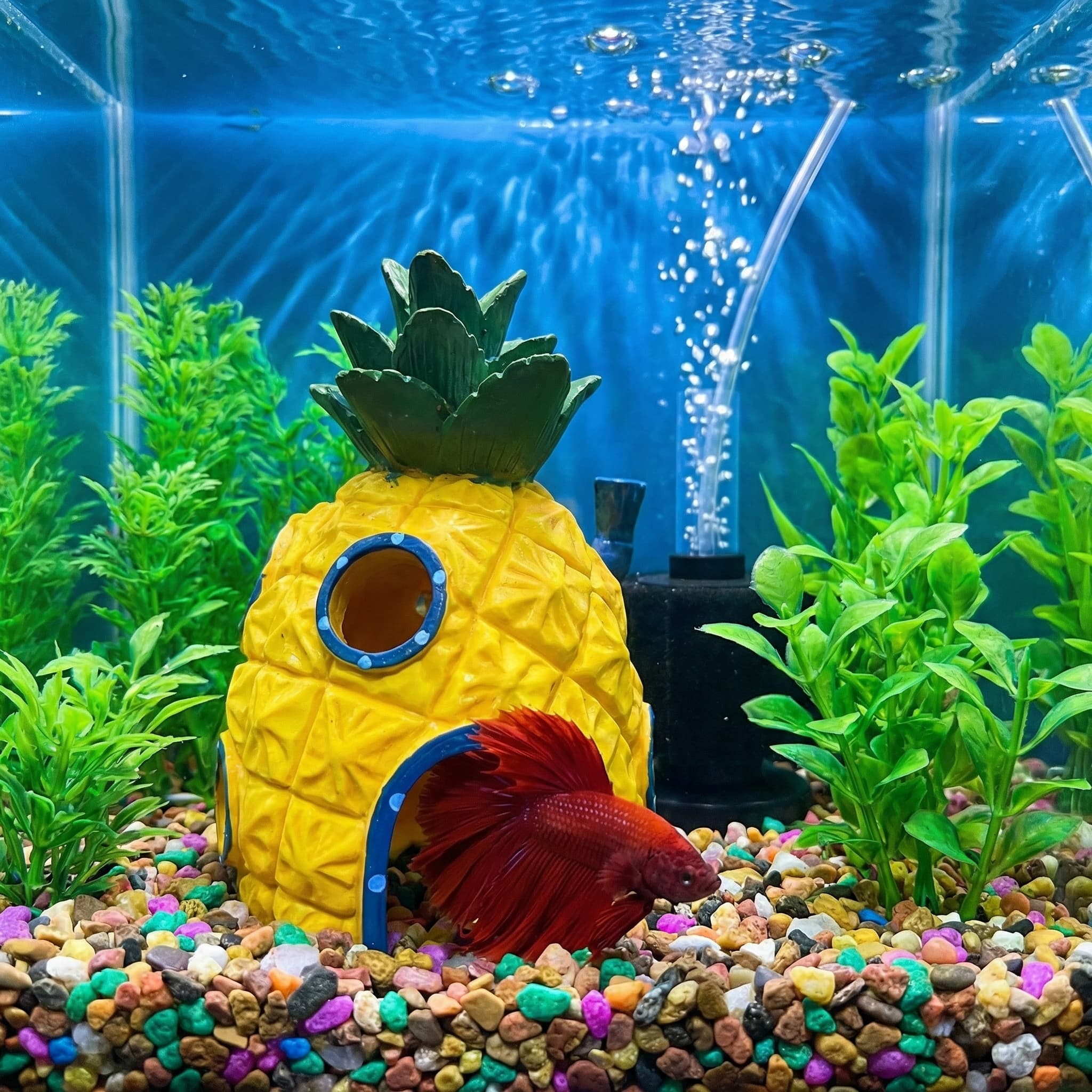 Pineapple House Aquarium Decor - Aquarium Fish Games review and price