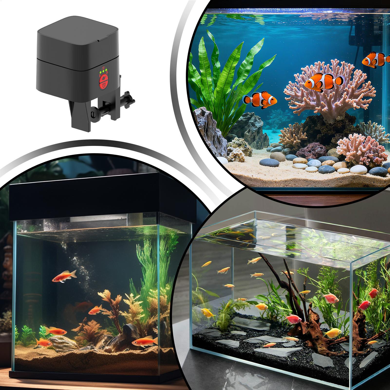 Auto Fish Feeder For Aquarium  - Aquarium Fish Feeder review and price