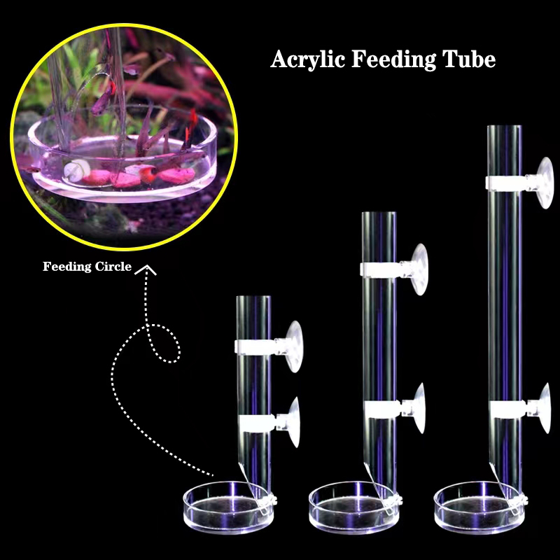 1Pcs Acrylic Aquarium Feeder T - Aquarium Fish Feeder review and price