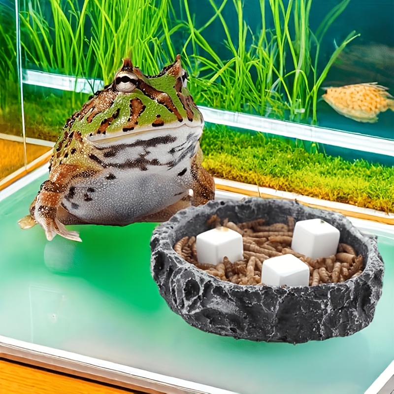 6 Pcs Fish Tank Calcium Block  - Aquarium Fish Games review and price