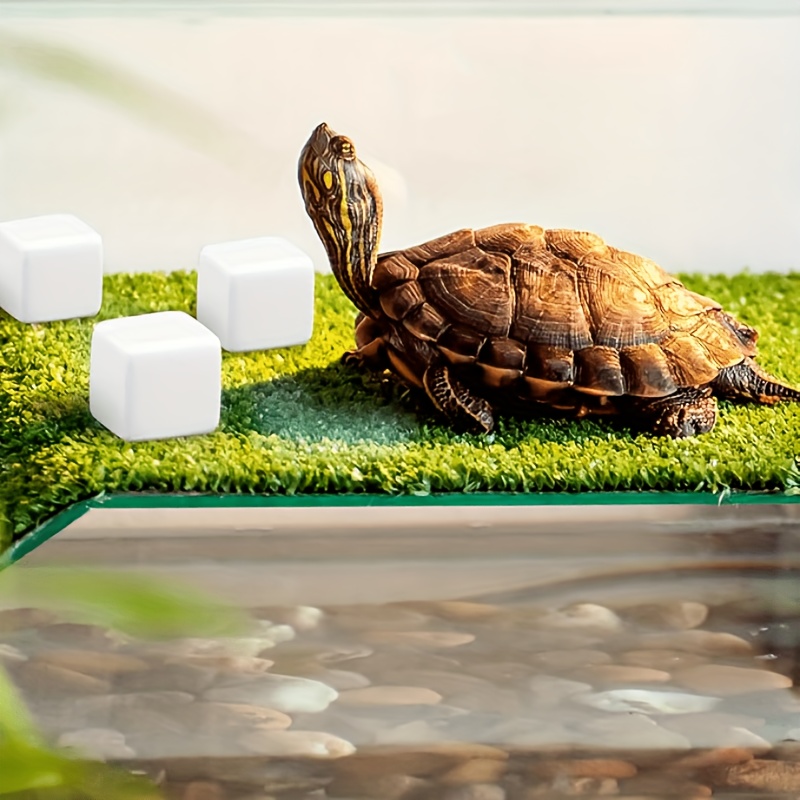 6 Pcs Fish Tank Calcium Block  - Aquarium Fish Games review and price